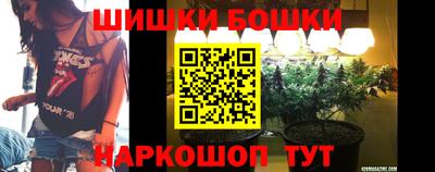 тгк Канаш