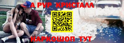 jwh Кингисепп