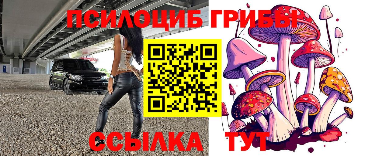 Котовск  Галлюциногенные грибы Psilocybe  Псилоцибиновые грибы Psilocybe  Вход с VPN 
